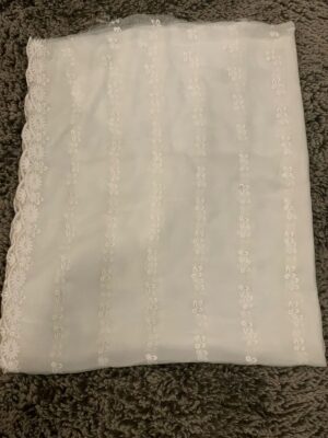 Chiffon chickenkari Dupatay